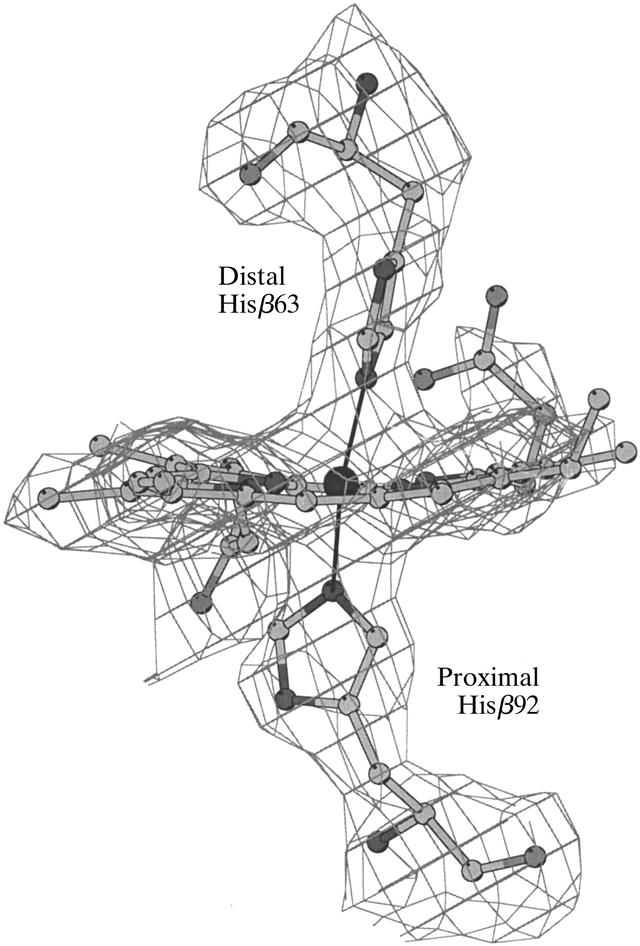 [Figure 2]