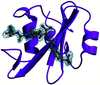 [Figure 1]