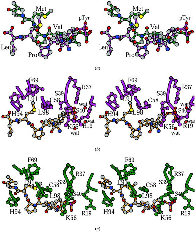 [Figure 2]