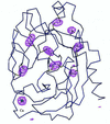 [Figure 2]