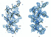 [Figure 4]