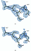 [Figure 6]