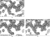 [Figure 1]