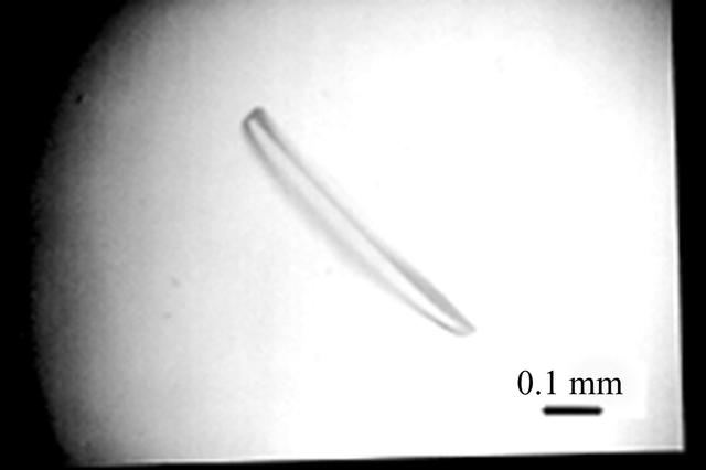 [Figure 2]