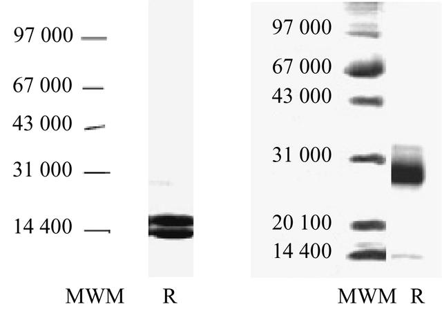 [Figure 3]