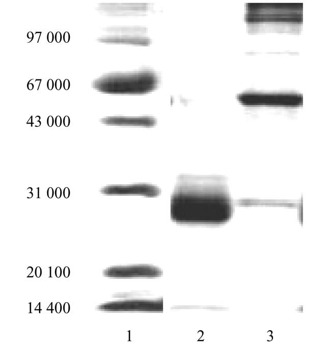 [Figure 5]