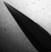 Native crystals of CYP121
