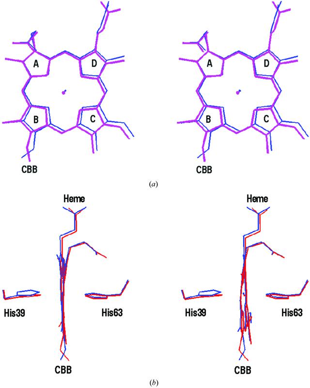 [Figure 5]