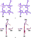 The heme and ligands of V45Y and wild-type cytb5