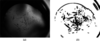 [Figure 12]