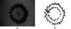 [Figure 14]
