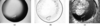 [Figure 2]