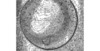 [Figure 3]