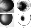 [Figure 8]