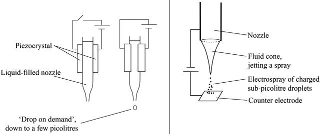 [Figure 4]