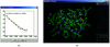 [Figure 5]