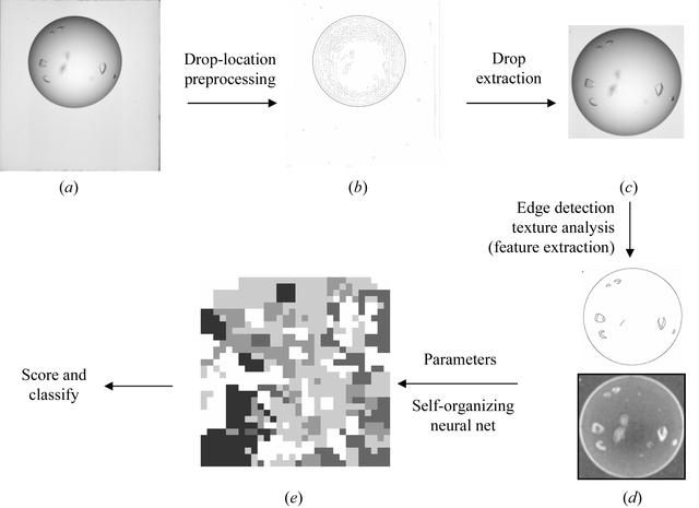 [Figure 1]