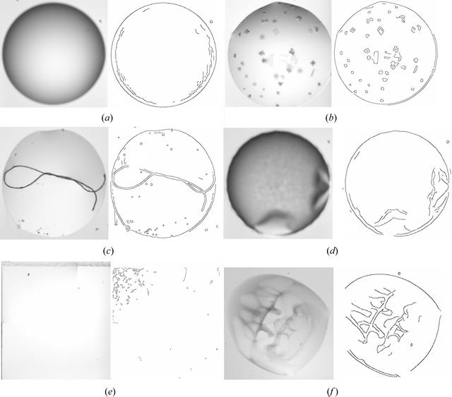 [Figure 11]