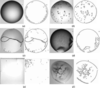 [Figure 11]