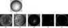 [Figure 6]