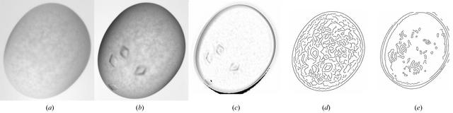 [Figure 9]