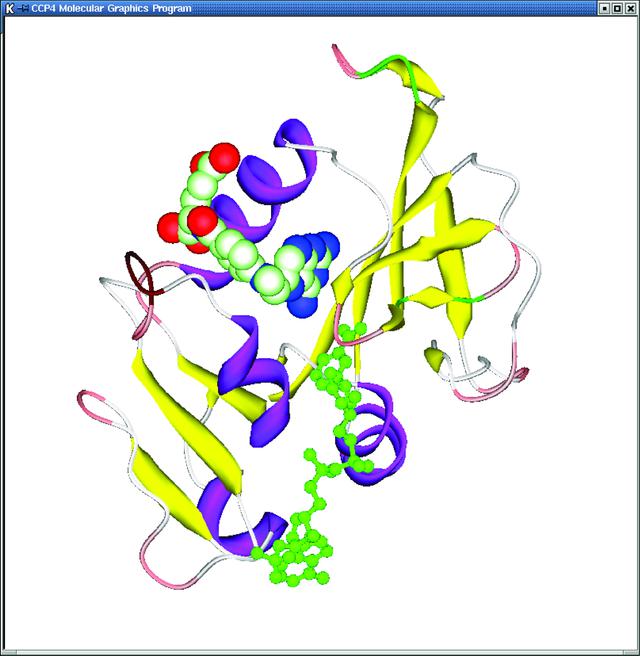 [Figure 2]