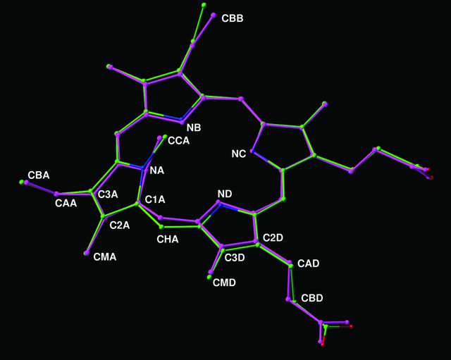 [Figure 1]