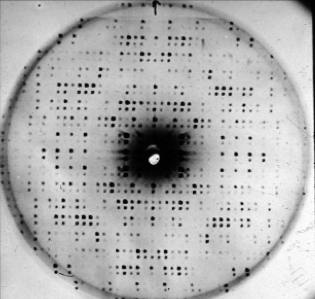 [Figure 5]