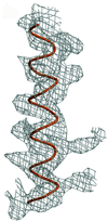 [Figure 4]