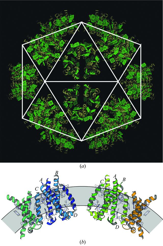 [Figure 5]