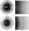 [Figure 2]