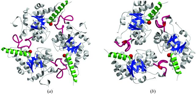 [Figure 5]