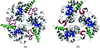 Comparison of the trimeric structures of MPS and DDG aldolase