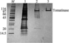 [Figure 1]