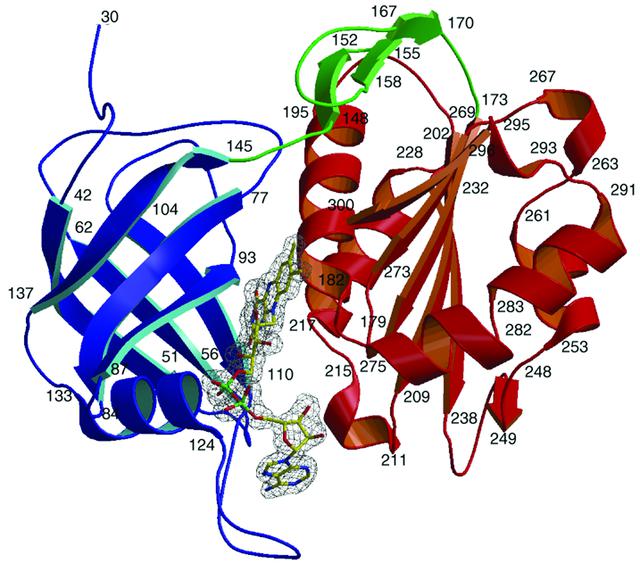 [Figure 1]