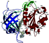 human NADH-cytochrome b5 reductase structure