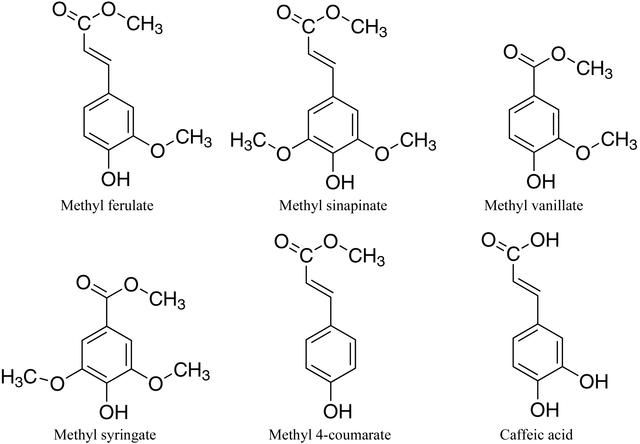 [Figure 1]