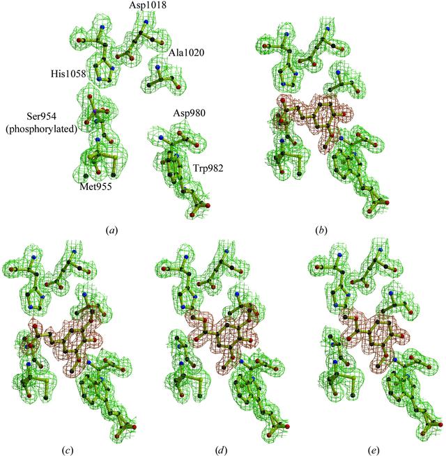 [Figure 2]