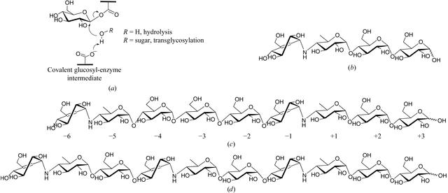 [Figure 1]