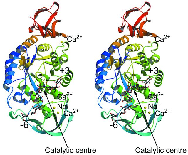 [Figure 2]