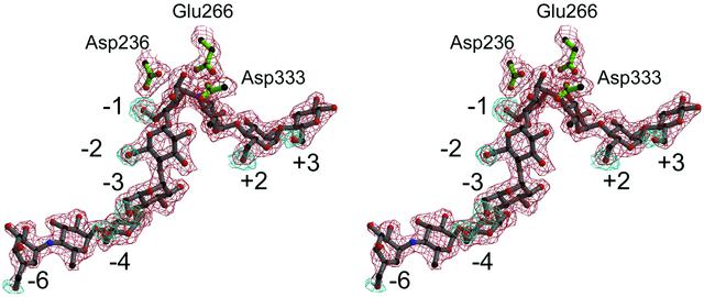 [Figure 3]
