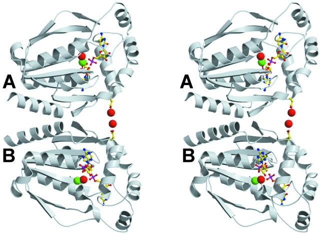 [Figure 5]