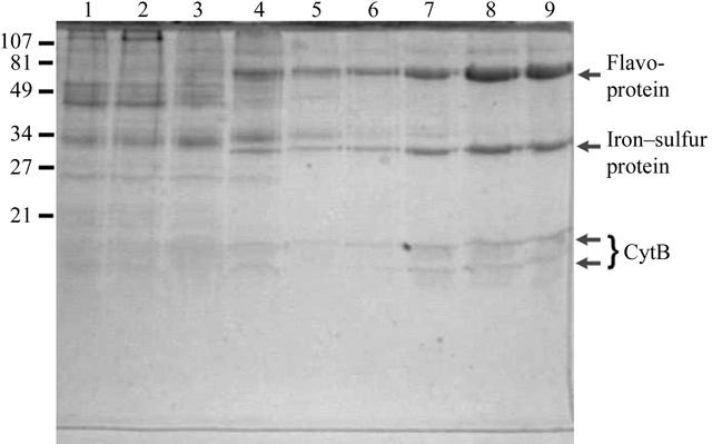[Figure 1]