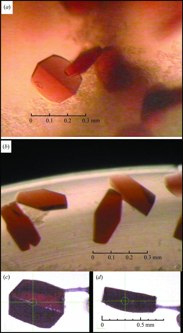 [Figure 3]