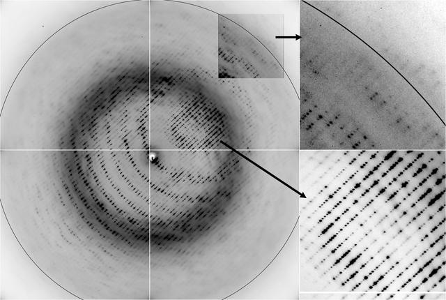 [Figure 4]