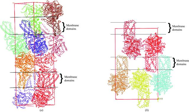 [Figure 5]