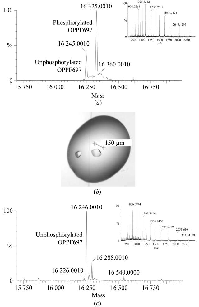 [Figure 3]
