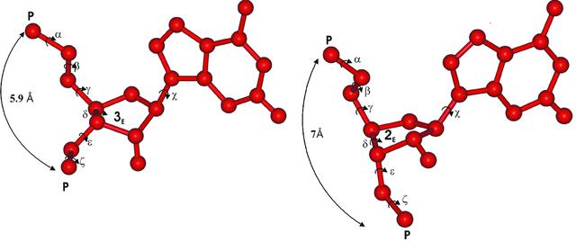 [Figure 3]