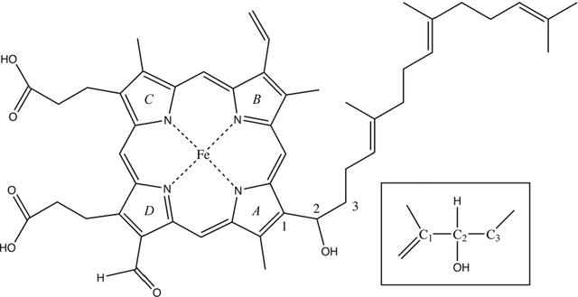 [Figure 1]
