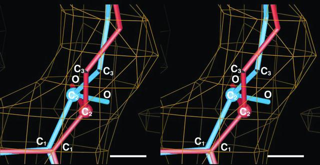 [Figure 3]